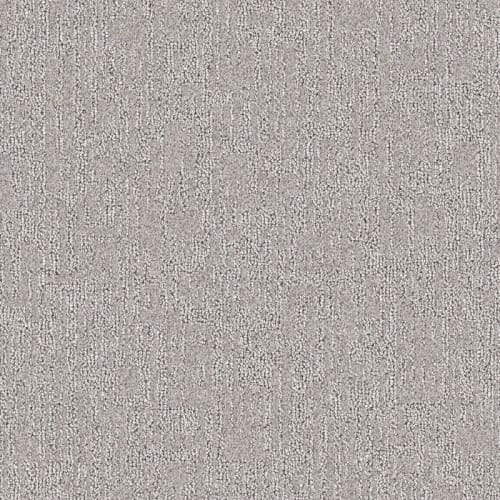Nyluxe Petguard - Puzzle - Beach Shell