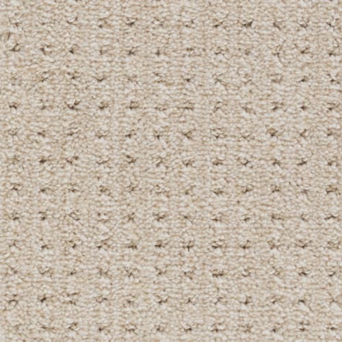Tryesse Pro - Escape To Maui - Beige Clay