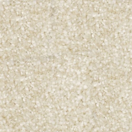 Nyluxe Petguard Tri Twist - Prodigy - Beige Coral