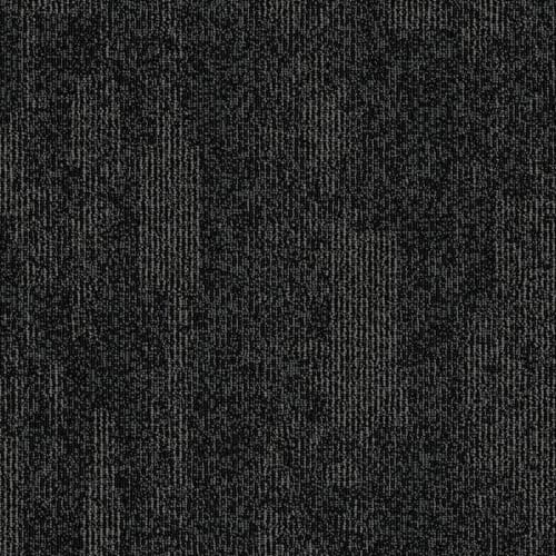 Dynamo - Black Spider