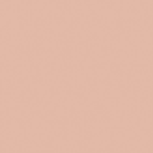 Color Story Wall - Blush-2X8X.3125