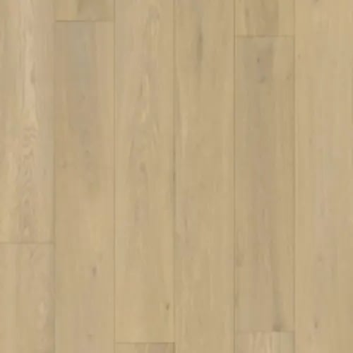 Canvas - Moderna