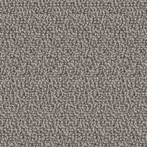 Nyluxe Petguard - Twill - Capstan Grey