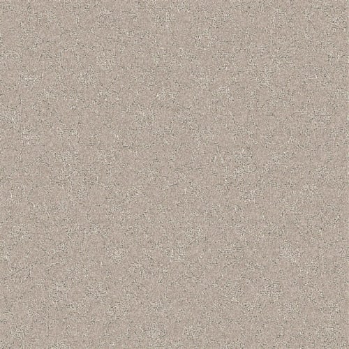 Nyluxe Petguard - Cloudscape - Clear Ochre Brown