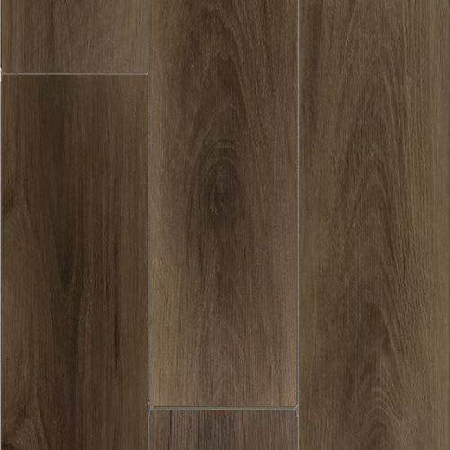 Proseries - Halstatt - Craftsman