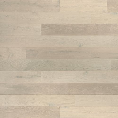 Designer Collection - Crema