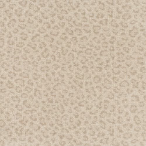 Imagine - Exotic - Touch