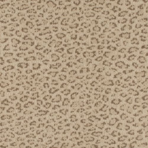 Imagine - Exotic - Touch