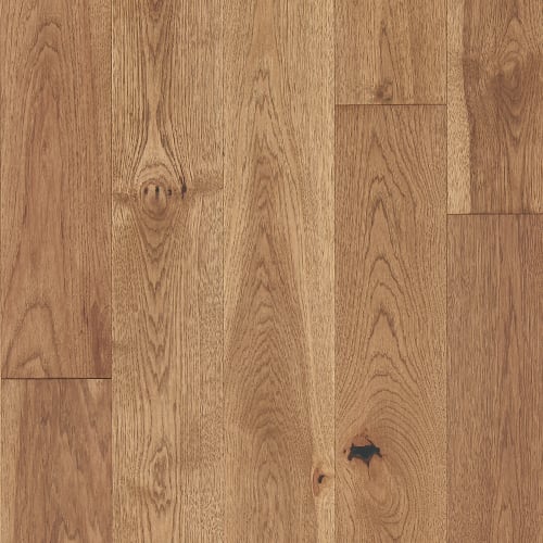 Latitude Collection - Forest Park - Sunbeam
