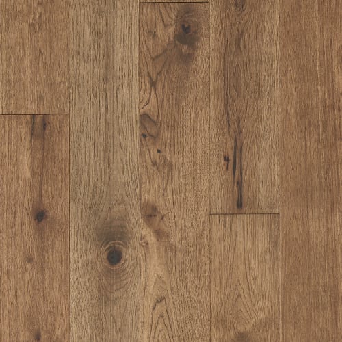 Latitude Collection - Forest Park - Trail