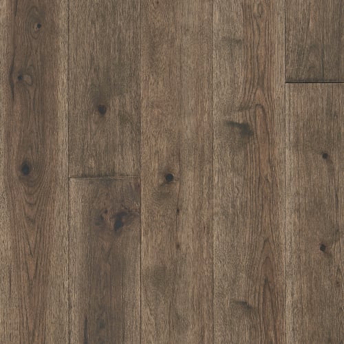 Latitude Collection - Forest Park - Twig
