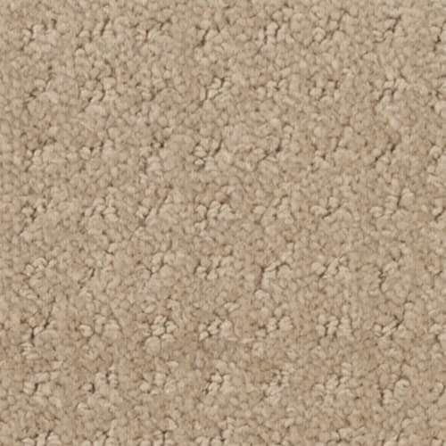 Nyluxe Sdn - Costa Concordia Ii - Gardenia Beige