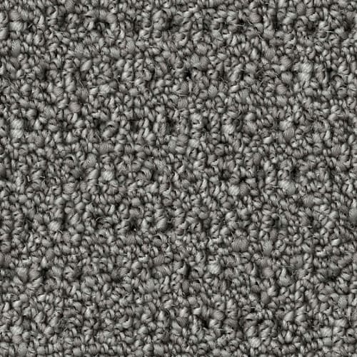 Nyluxe Petguard - Polka Dot - Grey Wall