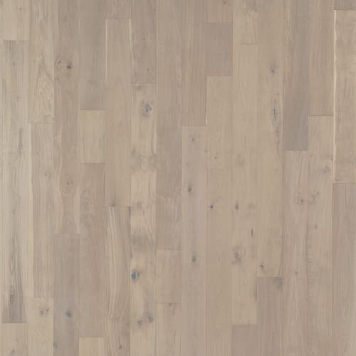 Latitude Collection - Park City - Snowcap