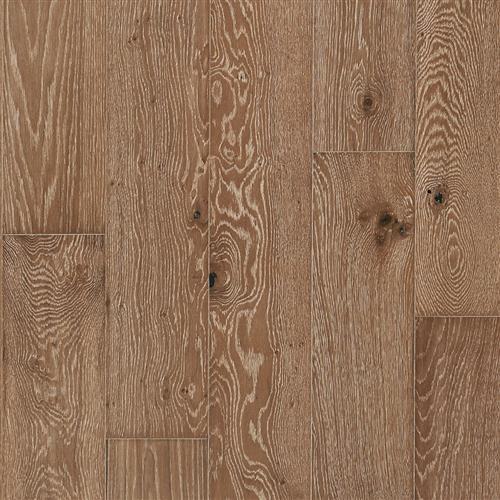 Latitude Collection - Park City - Sundance