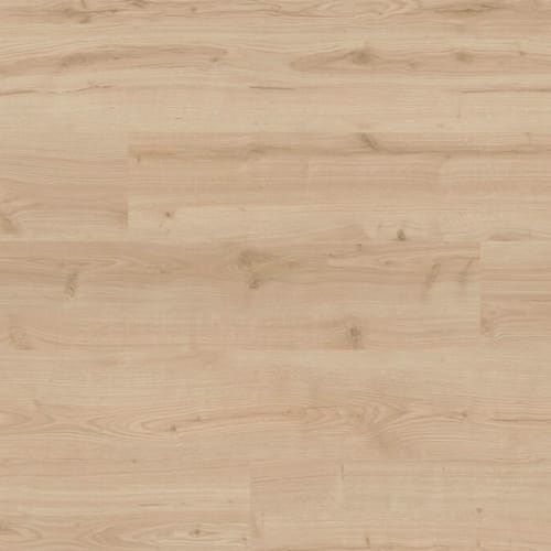 Avenue - Hawthorne Oak