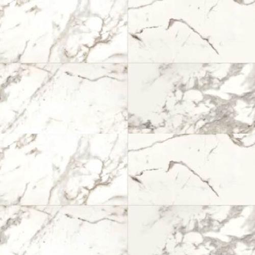 Marble Attache - Calacatta - 12X24