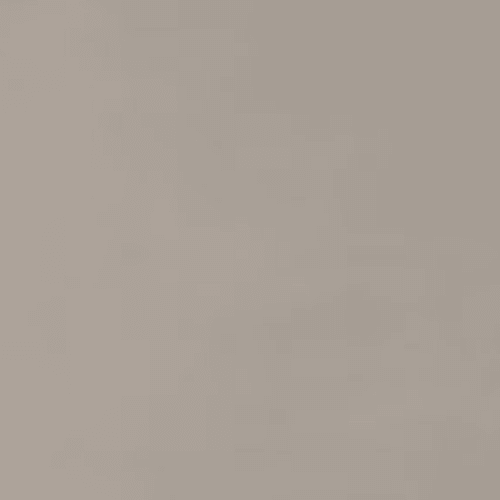 Neoconcrete - Light Gray-24X24-Matte
