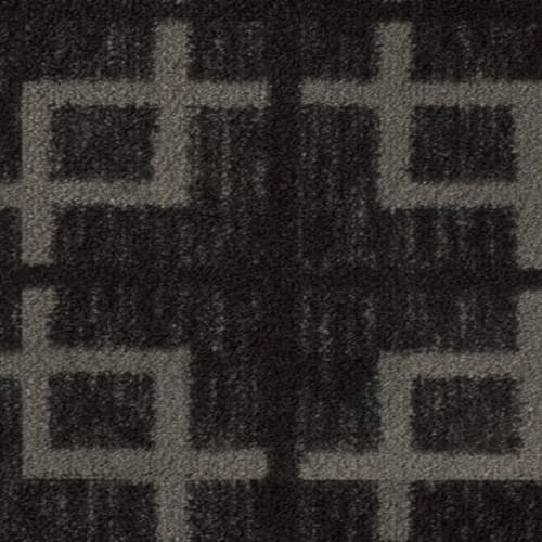 Imagine - Network