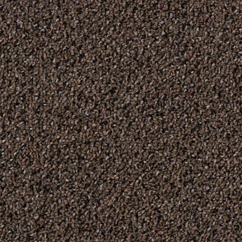 Mainstreet Innofibe - Supplement Ii 20 - Oriental Coffee