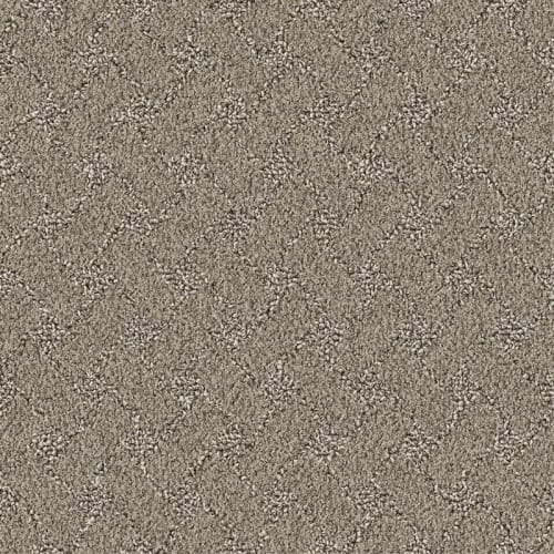 Nyluxe Petguard - Snowscape - Partridge Brown