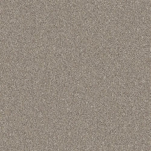 Nyluxe Petguard - Spiderweb - Partridge Brown
