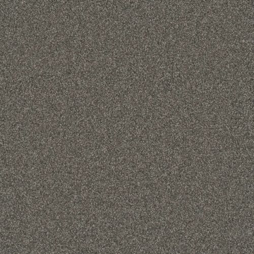 Gold Standard I - Platinum