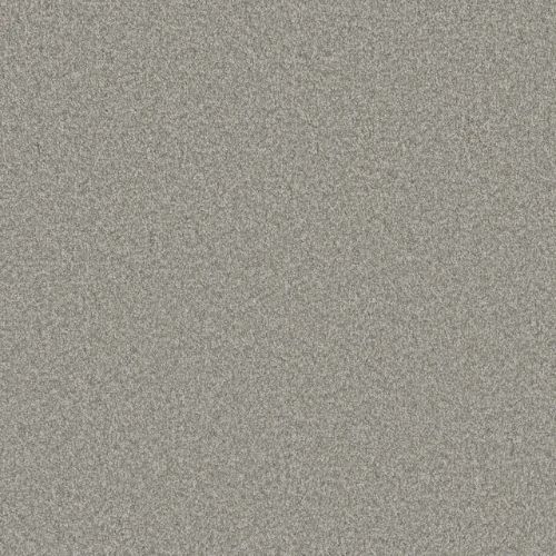 Blazer Iii - Polar Cap