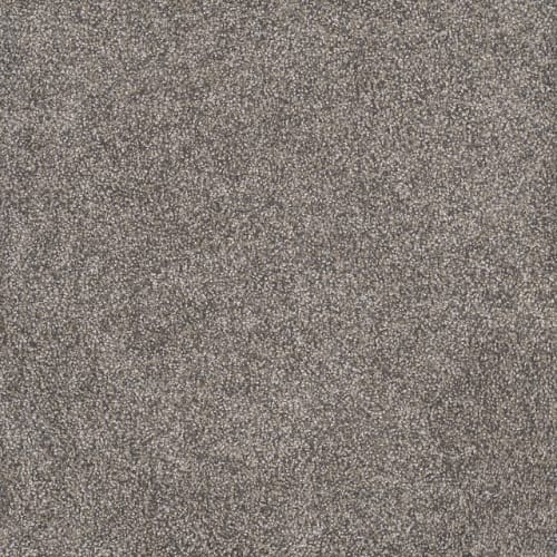 Casselton - Dried Sage