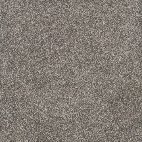 Rustic Retreat Ii - Dried Sage