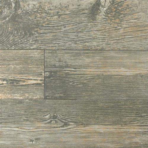 Forest - Black - 6X24