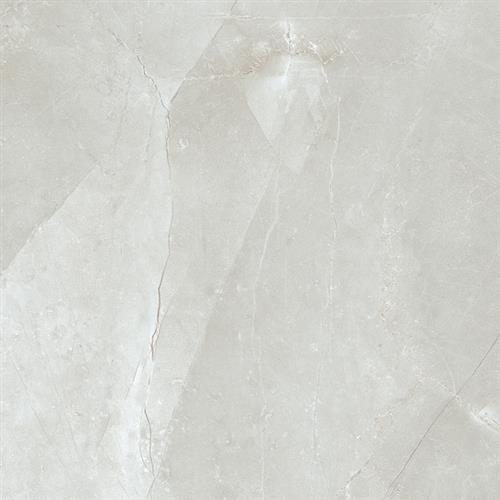 Classic Series - Pulpis Grey - 12X12