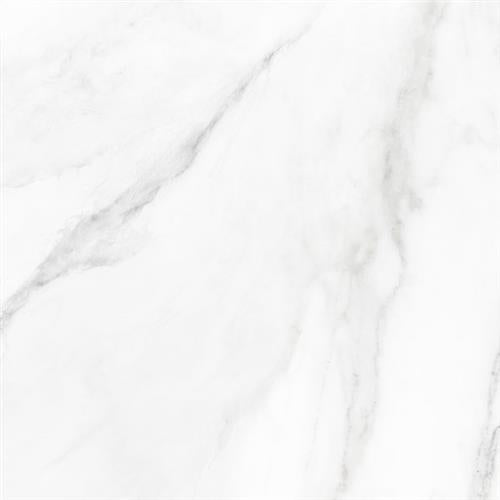 Marmo - Statuario Honed - 24X24