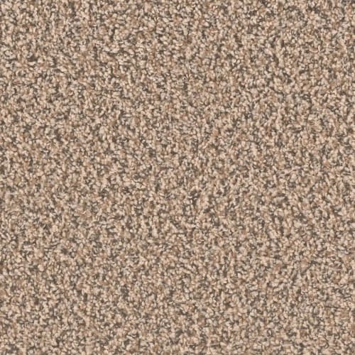 Sp250 - Shoreline