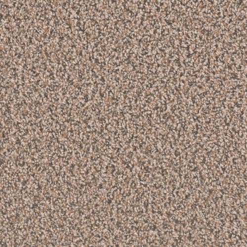 Sp250 - Gingerbread