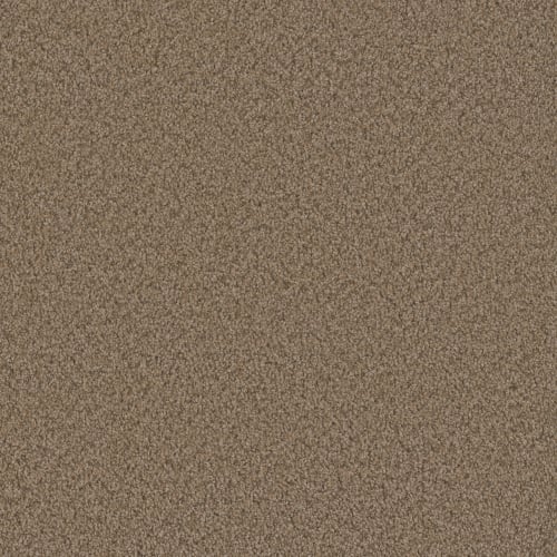 Sp250 - Claystone
