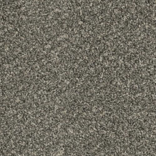 Sp250 - Ironside