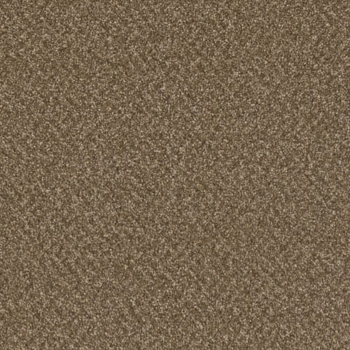 Sp251 - Mocha Beige