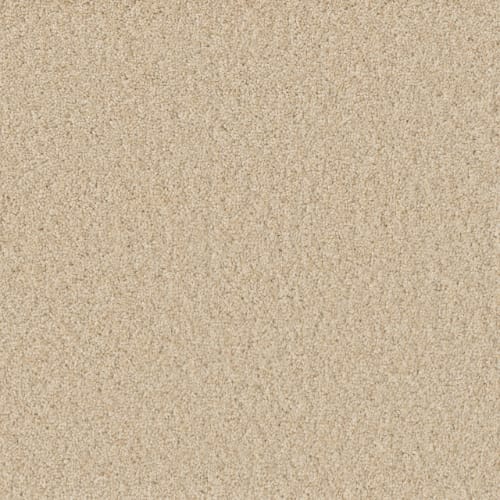 Sp251 - Classic Ivory