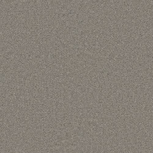 Sp251 - Silver Birch