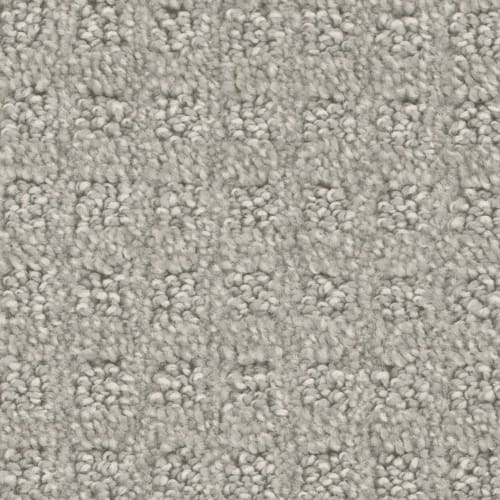 Chambers Bay - Silver Birch
