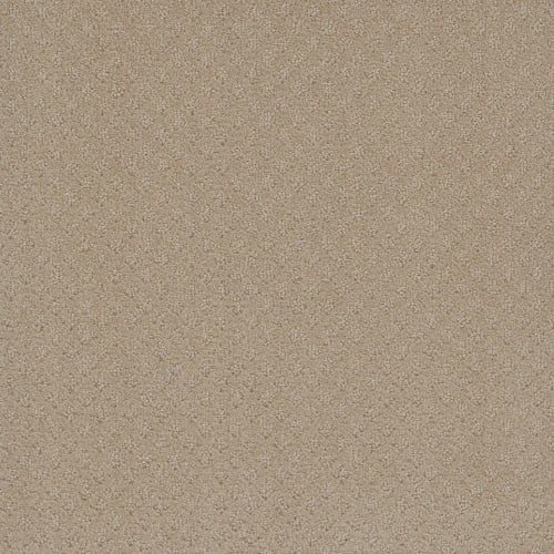 Stellar - Soft Pine