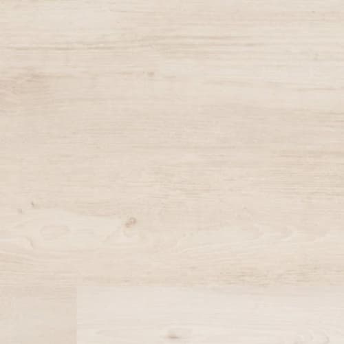 Woodlands - White Birch