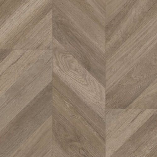 Progen - Chevron Tawny