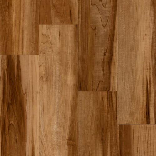 Progen - Rock Maple Medio