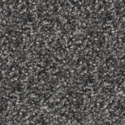 Nyluxe Petguard Tri Twist - Prodigy - Tuxedo