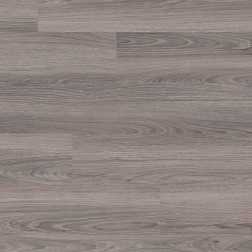 Avenue - Ventura Oak