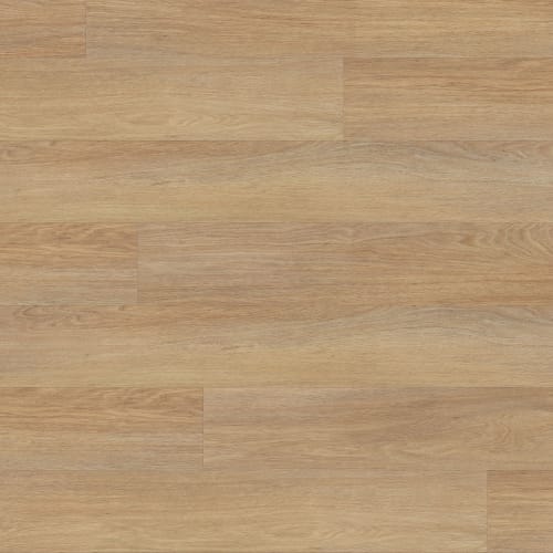 Aerial - Santa Ana