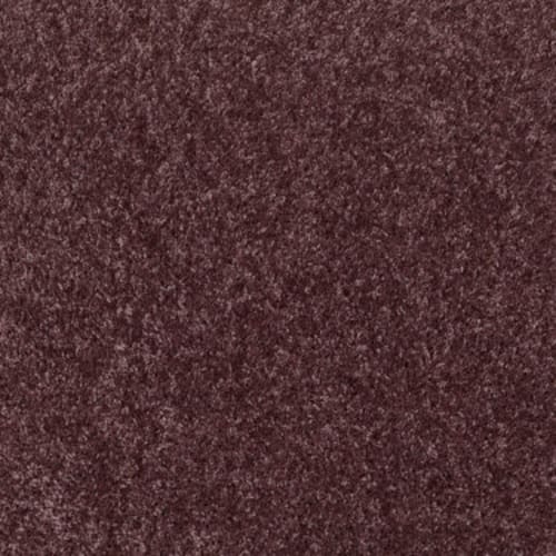 Dreamin' 12' - Amethyst Sky