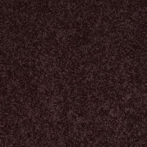 All Star Weekend Iii 12' - Royal Purple